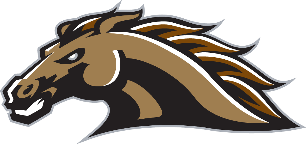 Western Michigan Broncos 1998-Pres Secondary Logo iron on transfers for fabric